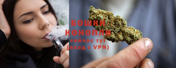 шишки Володарск