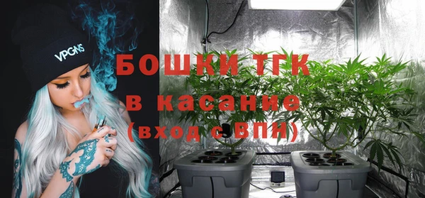 шишки Володарск