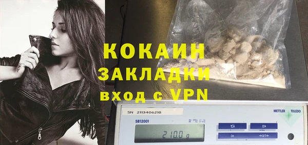 шишки Володарск